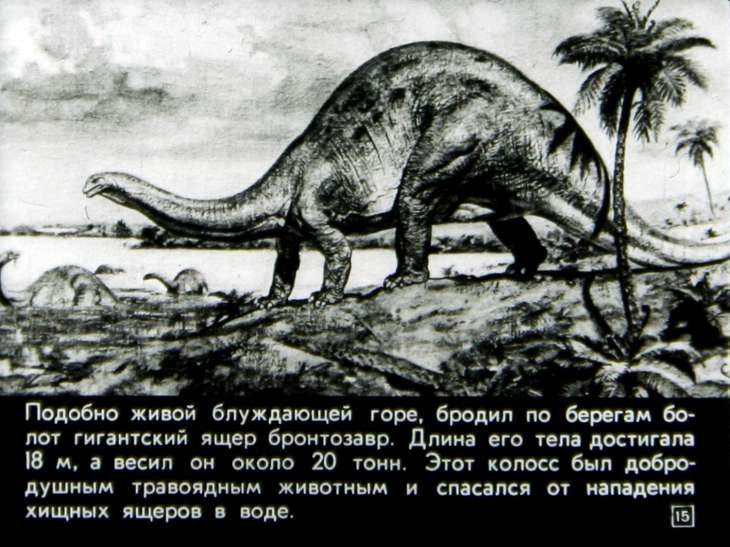 Происхождение птиц. Первоптицы. Н. Павлова