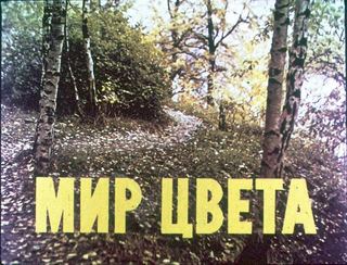Диафильм «Мир цвета» (1978), обложка