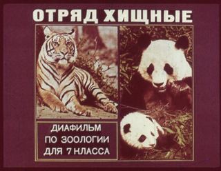 Диафильм «Отряд хищные», обложка