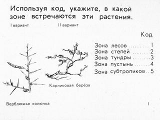 Диафильм «Растения и внешняя среда» (1973), обложка