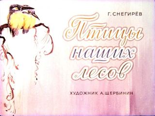 Диафильм «Птицы наших лесов», обложка