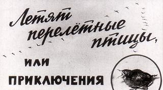 Диафильм «Летят перелетные птицы, или Приключения скворца Шурки» (1967), обложка
