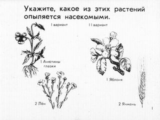 Диафильм «Опыление растений» (1973), обложка