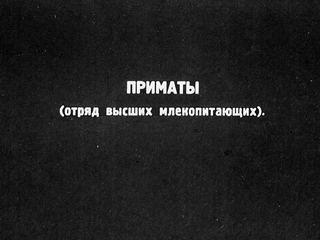Диафильм «Млекопитающие. Часть VI» (1949), обложка