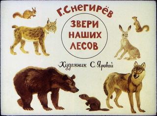 Диафильм «Звери наших лесов» (1990), обложка