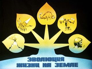 Диафильм «Эволюция жизни на Земле» (1987), обложка