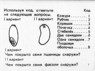 Диафильм «Семя» (1973), обложка