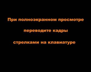 Диафильм «Как лиса Лариска нанималась гусят нянчить» (1985), обложка