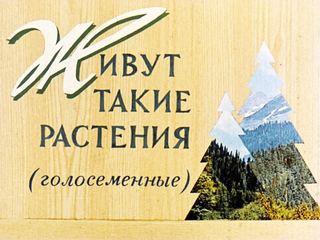 Диафильм «Живут такие растения» (1973), обложка