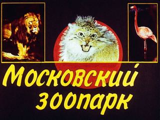 Диафильм «Московский зоопарк» (1988), обложка