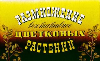 Диафильм «Вегетативное размножение цветковых растений» (1991), обложка