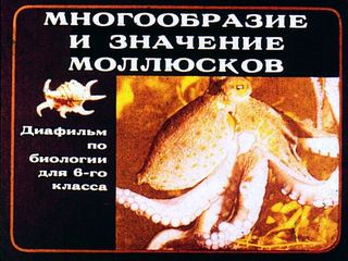 Диафильм «Многообразие и значение моллюсков» (1983), обложка