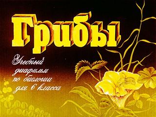 Диафильм «Грибы» (1988), обложка