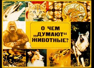 Диафильм «О чем "думают" животные?» (1986), обложка