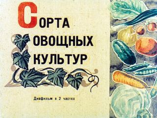 Диафильм «Сорта овощных культур. Часть 2» (1973), обложка