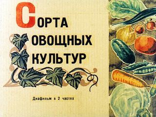 Диафильм «Сорта овощных культур. Часть1» (1973), обложка