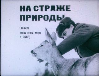 Диафильм «На страже природы» (1973), обложка