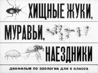Диафильм «Хищные жуки, муравьи, наездники» (1979), обложка