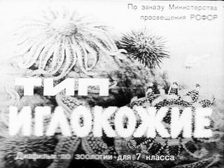 Диафильм «Тип иглокожие» (1970), обложка